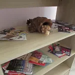 Casa Di Mi Lo